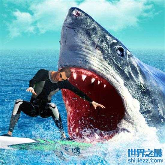 鲨鱼吃人非主动事件,电影大白鲨的渲染造成错误认知