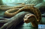 世界最大的蟒蛇，长12米重1吨的巨蟒，能一口吞下5米的鳄鱼