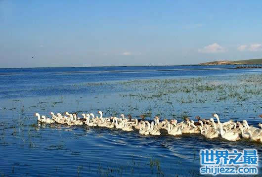 最新中國五大淡水湖,湖水乾枯,排名變動