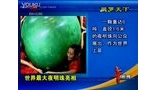 世界最大夜明珠亮相 101122 四川新闻