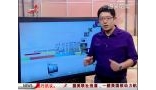 南京现500万天价“史上最贵”狗墓 占地200平价值超500万