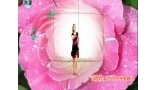 洛阳傲雪广场舞 女人是世界上最美丽的花 编舞郑公子