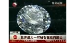 世界最大一对钻石亮相起拍价2000万美元