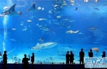 世界十大水族馆排名，盘点世界上那些著名的水族馆