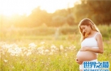 孕妇钙片哪个牌子好 孕期补钙对妈妈和孩子都很重要