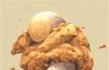 太空蛞蝓是什么东西 星球大战中影迷最感兴趣生物