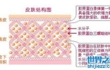 全球十大胶原蛋白排行榜，胶原蛋白哪个牌子好