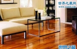 中国十大地板品牌，圣象地板(安心环保好地板)