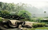 十种世界上最长的蛇 ，狂蟒之灾里的蟒蛇不完全是虚构的。