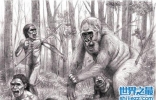 史上最大的猿高达三米，现已灭绝