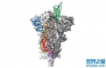 新冠病毒原子图  未来18个月疫苗或将诞生