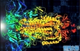 科学家用病毒蛋白质结构谱曲