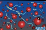 新研究实现15万亿个原子量子纠缠