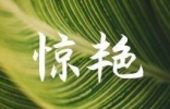 天下最大IT公司之一惠普,内部PPT竟如斯接地气!网友