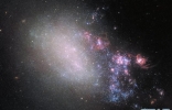 哈勃太空望远镜摄下猎犬座不规则星系NGC 4485与相邻NGC 4490茧星系碰撞 ...