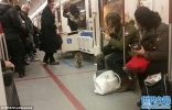 加拿大浣熊误闯地铁变超萌列车长 翻乘客包包：我在验票哦！ ...