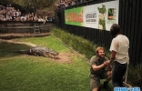 澳洲动物园护理员鳄鱼池旁求婚 引大鳄上岸做见证人