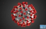 新型冠状病毒导致的肺炎疫情对天文学研究有哪些影响