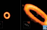 研究发现围绕宽双星运行的原行星盘轨道往往严重倾斜