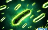 世界上最神奇的细菌：以电子为食的食电细菌