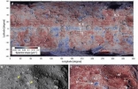 “隼鸟2号”的着陆极为细致地揭示“龙宫”小行星的表面