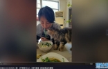 李勤勤和猫同吃菜叶不嫌脏！头发凌乱打扮朴素，桌上残渣太抢眼 ...