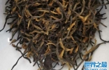 中国最有名的红茶有哪些？中国最著名的十大红茶