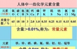 人体中含量最多的元素前五位是什么, 绝对想不到是它