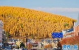 国内秋天最美的十条自驾游路线，蘑阿公路排榜首