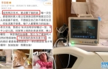 梅婷前夫带妻子四处求医！老婆身患重病2次手术，坐轮椅身形暴瘦 ...