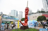 世界上最大的辣椒：天之椒子高达6米宽近2米重达380斤