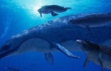 灭绝的远古巨兽古蜥鲸，古蜥鲸竟是从树上跑下来的?