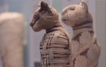古埃及人对动物有多崇拜 将它们做成木乃伊 目的究竟是什么？