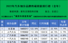 2022年汽车细分品牌年度终端销量排行榜（完全版）