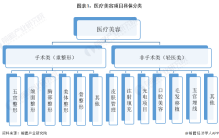 预见2023：《2023年中国医疗美容行业全景图谱》