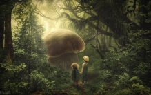 世界上最大的生物竟然是蘑菇 绵延10平方公里已有2800岁