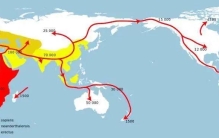 人类只用百万年就产生了高等文明，为何恐龙上亿年都没产生文明？