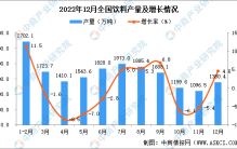 2022年1-12月全国各省市饮料产量排行榜