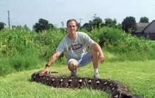 世界上最长的蛇类，体长可达8米？