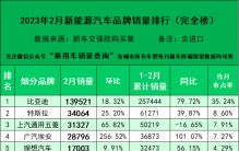 2023年2月新能源汽车细分品牌上险量排行榜