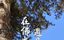 梁思成一生最大发现，亚洲第一古建筑佛光寺，一生必去一次。