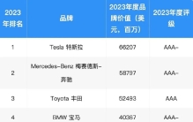 2023年度全球汽车品牌价值100强榜单