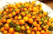 世界上最贵的辣椒，一斤相当于重庆10个平方的房价