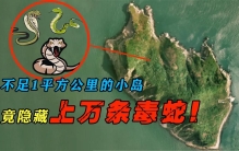 中国最危险的岛屿