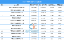 2022年中国跨国公司100强排行榜