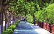 网友版中国十大最干净城市，杭州上榜，三亚居首，你们认可吗？