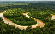 亚马逊雨林被称为“地球之肺”，为什么却是人类禁区，有多恐怖？