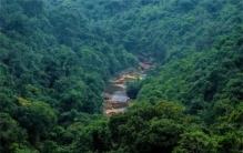 世界上降水最多的地方 世界雨极乞拉朋齐（降水最多