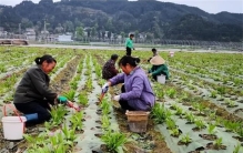 人们每天产生的排泄物 最后都去了哪里（处理排泄物）