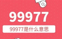 99977的真正含义是什么 99977代表了什么